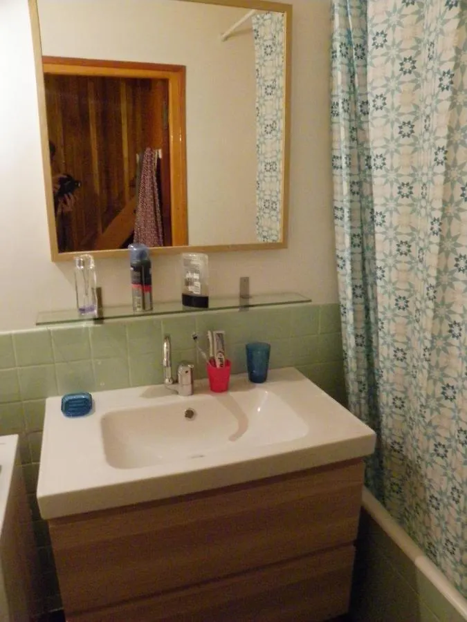 Duplex Les Plautus Apartment Orcieres